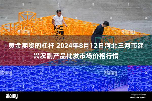 黄金期货的杠杆 2024年8月12日河北三河市建兴农副产品批发市场价格行情