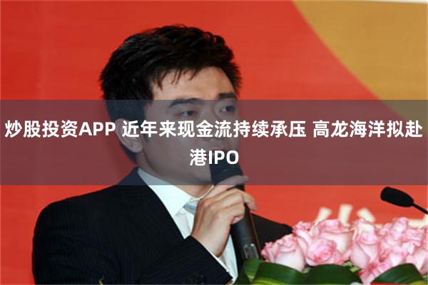 炒股投资APP 近年来现金流持续承压 高龙海洋拟赴港IPO