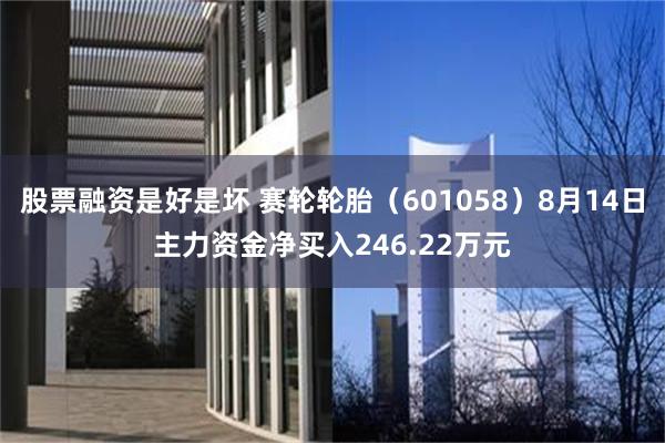 股票融资是好是坏 赛轮轮胎（601058）8月14日主力资金净买入246.22万元