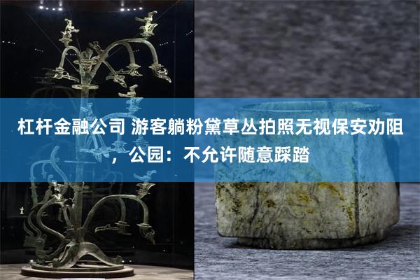 杠杆金融公司 游客躺粉黛草丛拍照无视保安劝阻，公园：不允许随意踩踏