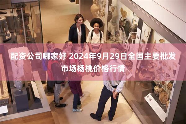 配资公司哪家好 2024年9月29日全国主要批发市场杨桃价格行情