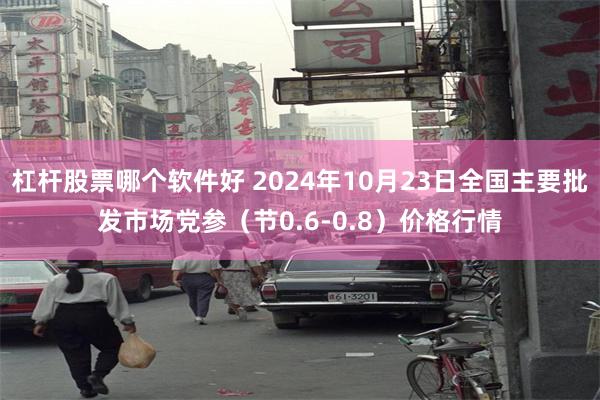 杠杆股票哪个软件好 2024年10月23日全国主要批发市场党参（节0.6-0.8）价格行情