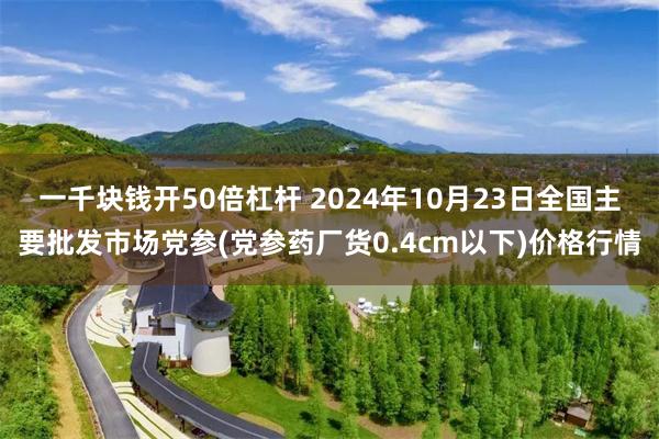 一千块钱开50倍杠杆 2024年10月23日全国主要批发市场党参(党参药厂货0.4cm以下)价格行情