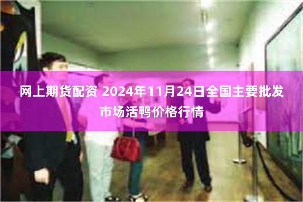 网上期货配资 2024年11月24日全国主要批发市场活鸭价格行情