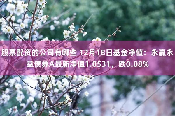 股票配资的公司有哪些 12月18日基金净值：永赢永益债券A最新净值1.0531，跌0.08%