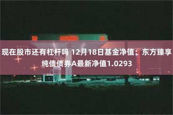 现在股市还有杠杆吗 12月18日基金净值：东方臻享纯债债券A最新净值1.0293