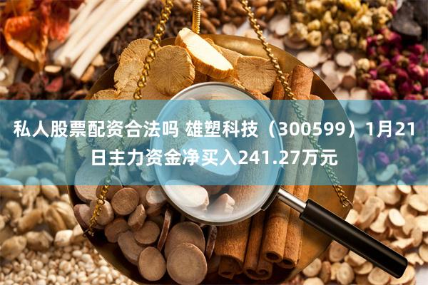 私人股票配资合法吗 雄塑科技（300599）1月21日主力资金净买入241.27万元