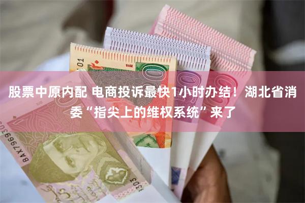 股票中原内配 电商投诉最快1小时办结！湖北省消委“指尖上的维权系统”来了